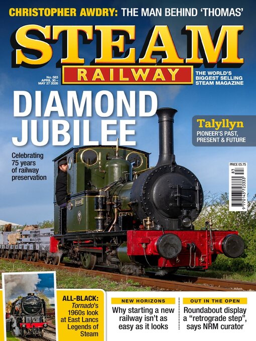 Cover image for Steam Railway